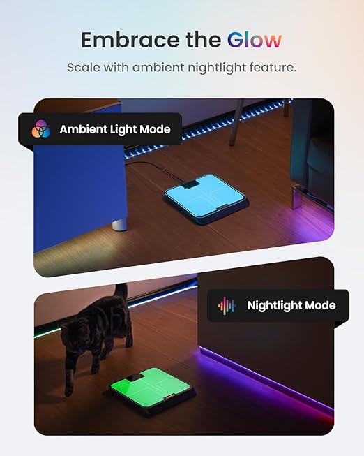 RENPHO Smart Body Fat Scale with Light Fitness Equipment with RGB Lighting Rechargeable Scale with BMI Body Fat Muscle Mass Color Changing with Weight Variation Elis Chroma