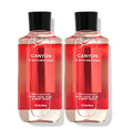 Bath &amp Body Works and Body Works For Men Canyon 3-in-1 Hair Face &amp Body Wash - Value Pack lot of 2 - Full Size (Canyon) 10 Fl Oz (Pack of 2) 20.0 fluid_ounces
