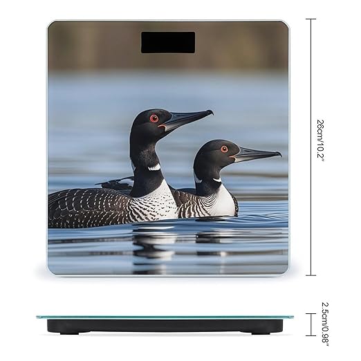 Loon Birds Smart Scale for Body Weight Accurate Bathroom Scale with LED Display Digital Weight Scales Weighing Machine High Precision Scales for Bath Home