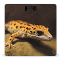 Leopard Little Gecko Weight Scale Digital Electronic Scales Bathroom Scale Larg LCD Backlight Display High Precision MeasurementsTempered Glass