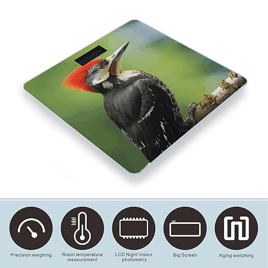 Cute Pileated Woodpecker Scale for Body Weight Accurate Digital Bathroom Scale Toughened Glass High Precision Scales Smart Weight Scales with Large LCD Backlight Display Weighing Machine