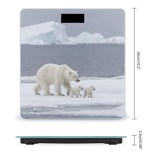 Digital Bathroom Scale for Body Weight Scale with Bright LCD Display High Accuracy Step-On Technology Auto On/Off Polar Bear Ice Floe Digital Scales 400 Lbs /180kg