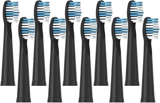 Replacement Brush HeadsCompatible for Seago Electric Toothbrushes E1-9/SG2303/SG575 Vacuum Packing(10pcs Black)