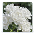 Flower White Weight ScaleClear LED Display Bathroom Digital Weighing ScaleTempered Glass Digital Bathroom Scale for Body Weight Capacity Up to 400 Lbs