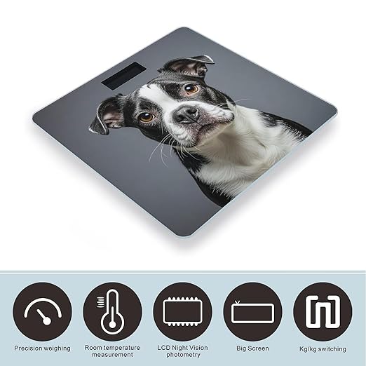 Boston Terrier Scale for Body Weight Digital Bathroom Scale Toughened Glass High Precision Scales for Body Weight with Large LCD Backlight Display Weight Scales