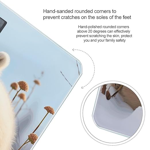 Cute Polar Bear Animals Bathroom Scale Rounded Smart Scale for Body Weight Automatic Power On/Off Weight Scales Accurate Bathroom Digital Scales for Pet Home Bedroom Kitchen