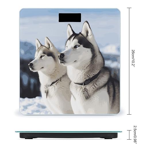 Digital Bathroom Scale for Body Weight Scale with Bright LCD Display High Accuracy Step-On Technology Auto On/Off Husky Dogs Digital Scales 400 Lbs /180kg