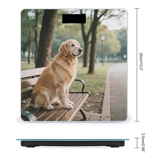 Dog Resting on Bench Weight Scale Cute Bathroom Scale for Body Highly Accurate Digital Weighing Machine for People Compact LCD Display Scales with Sturdy Toughened Glass Scales