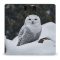 Snow Owl Scale with LCD Easy-to-Read Anti-Slip Weight Digital Bathroom Scale Precision Weighing Scales Sturdy Tempered Glass Body Weight Scales for Daily Use