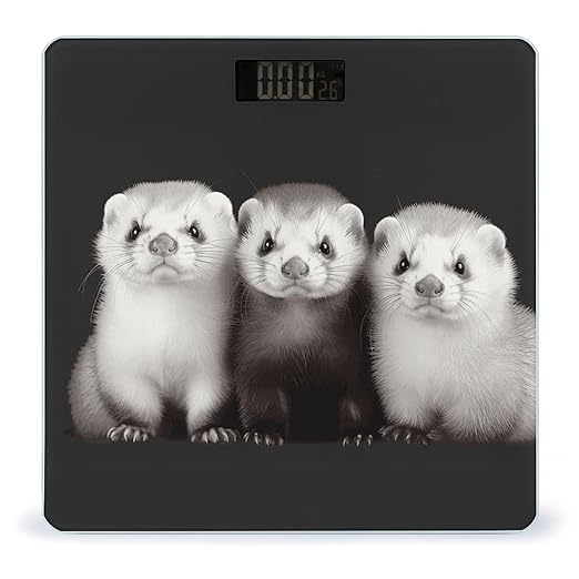 Digital Bathroom Scale for Body Weight Scale with Bright LCD Display High Accuracy Step-On Technology Auto On/Off Ferrets Digital Scales 400 Lbs /180kg