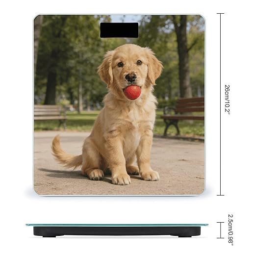 Cute Golden Retriever Weight ScaleClear LED Display Bathroom Digital Weighing ScaleTempered Glass Digital Bathroom Scale for Body Weight Capacity Up to 400 Lbs