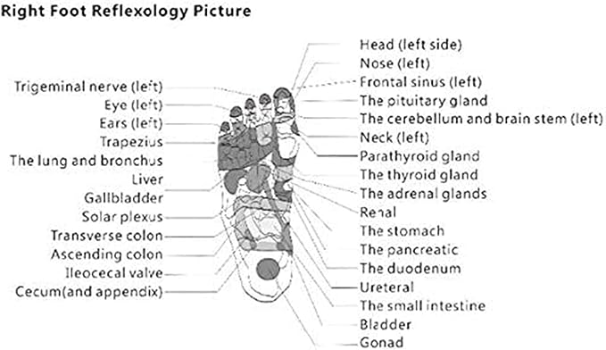 WIKINK Foot Massager Machine Foot Physiotherapy Massage Smart Swing Exerciser Chi Machine Electric Professional Foot Massager Fitness Blood Circulation Machine
