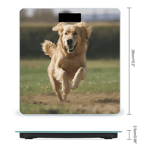 Golden Retriever Running Scale for Body Weight Accurate Digital Bathroom Scale Toughened Glass High Precision Scales Smart Weight Scales with Large LCD Backlight Display Weighing Machine