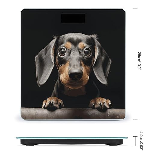 Digital Bathroom Scale for Body Weight Scale with Bright LCD Display High Accuracy Step-On Technology Auto On/Off Pad Dachshund Digital Scales 400 Lbs /180kg