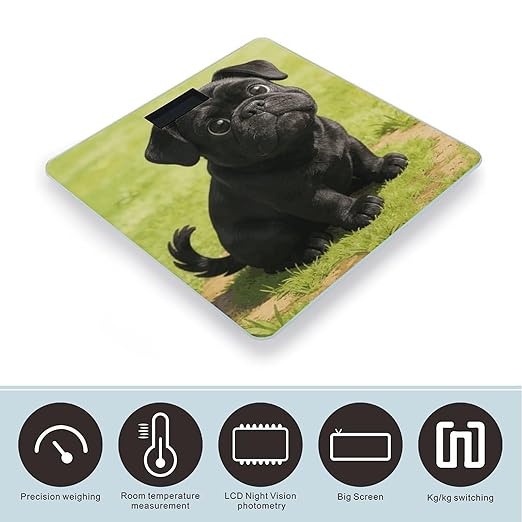 Cartoon Black Bulldog Weight ScaleClear LED Display Bathroom Digital Weighing ScaleTempered Glass Digital Bathroom Scale for Body Weight Capacity Up to 400 Lbs