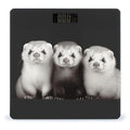 Ferrets Bathroom Scale for Body Weight Bathroom Digital Electronic Weighing Scale with Back Lit LED Display Sturdy Tempered Glass Weight Watchers Scales 400lb