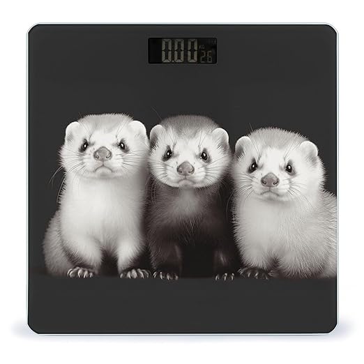 Ferrets Bathroom Scale for Body Weight Bathroom Digital Electronic Weighing Scale with Back Lit LED Display Sturdy Tempered Glass Weight Watchers Scales 400lb