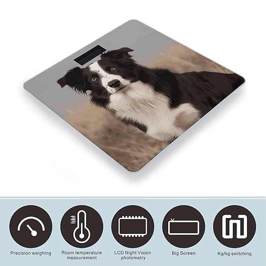 Border Collie Scale for Body Weight Accurate Digital Bathroom Scale Toughened Glass High Precision Scales Smart Weight Scales with Large LCD Backlight Display Weighing Machine