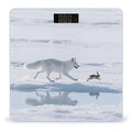 Arctic Fox Chases Weight Scale Cute Bathroom Scale for Body Highly Accurate Digital Weighing Machine for People Compact LCD Display Scales with Sturdy Toughened Glass Scales