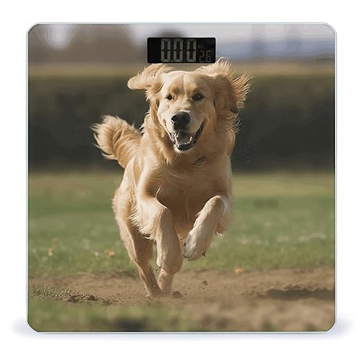 Golden Retriever Running Scale for Body Weight Accurate Digital Bathroom Scale Toughened Glass High Precision Scales Smart Weight Scales with Large LCD Backlight Display Weighing Machine