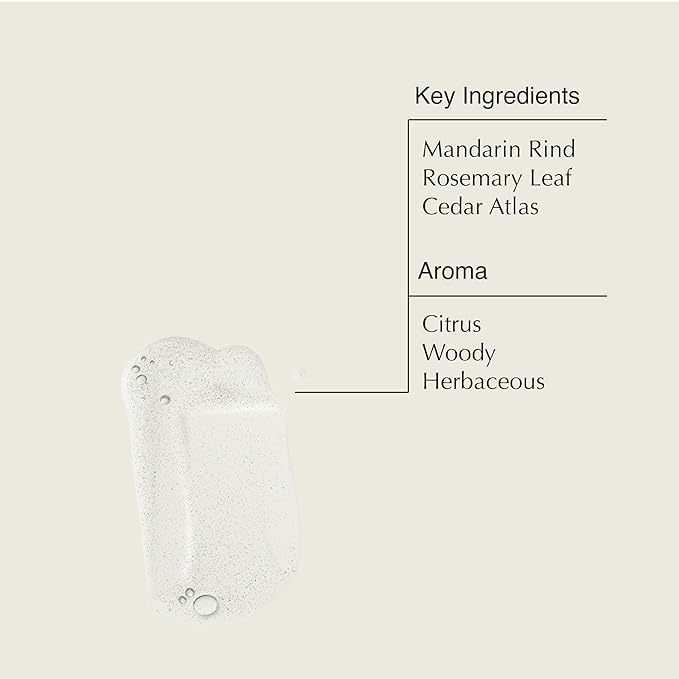 Aesop Resurrection Aromatique Hand Soap Geranium Leaf Body Wash| Paraben Cruelty-free &amp Vegan | 16.9 oz
