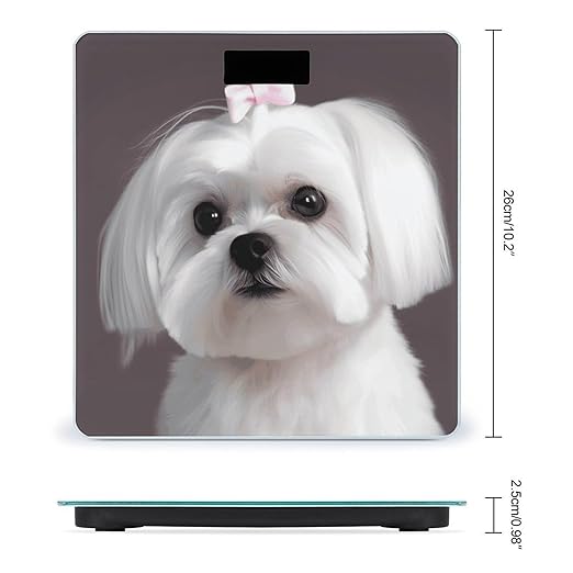 Lovely Maltese DogScale for Body Weight with LCD High Precision Weighing Scales Fashion Sturdy Tempered Glass Weight Scales Easy-to-Read Digital Bathroom Scale for Daily 400lb