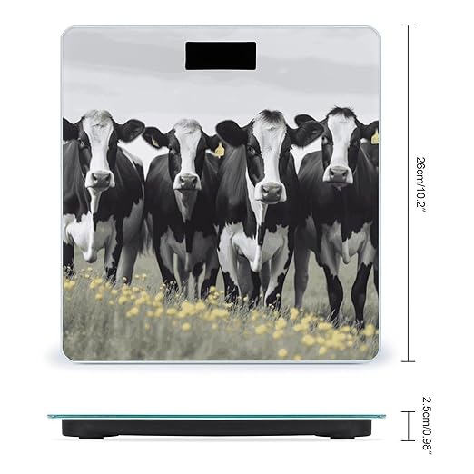 Black White Cows Bathroom Scale Automatic Power On/Off Body Scales LCD Backlight Display Square Digital Scale Rounded Corners Bathroom Scales for Home Bedrooms