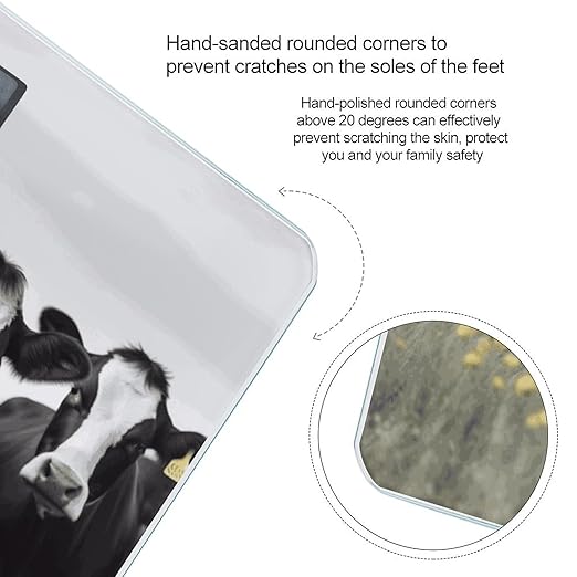 Black White Cows Bathroom Scale Automatic Power On/Off Body Scales LCD Backlight Display Square Digital Scale Rounded Corners Bathroom Scales for Home Bedrooms
