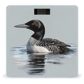 Loon Nature BirdScale for Body Weight with LCD High Precision Weighing Scales Fashion Sturdy Tempered Glass Weight Scales Easy-to-Read Digital Bathroom Scale for Daily 400lb