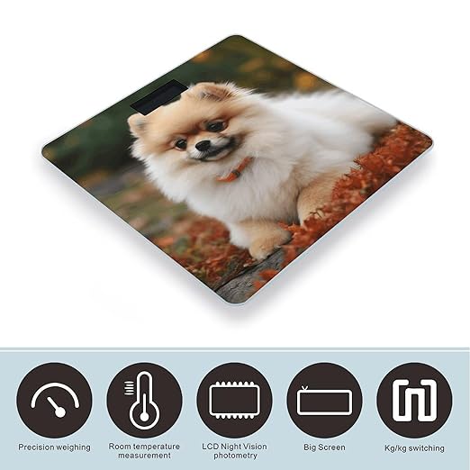 Short-haired Pomeranian Dog Bathroom Scale Large LCD Backlight Display Digital Scale Rounded Corners Body Scales Automatic Power On/Off Bathroom Scales for Home Bedrooms