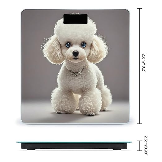 Poodle Scale for Body Weight Digital Bathroom Scale Toughened Glass High Precision Scales for Body Weight with Large LCD Backlight Display Weight Scales