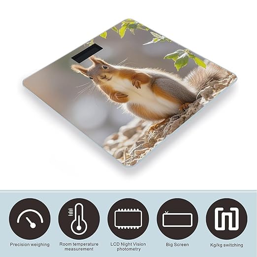 Squirrel Funny Animal Bathroom Scale Digital Weight Scale Precision 400 Lbs Weighing Scales Large with LCD Backlight Display BMI Measures
