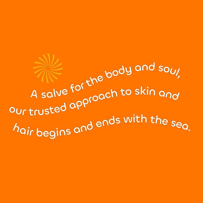 Seaweed Bath Co. Body Wash Body Cream and Body Scrub Trio 12 Ounce 6 Ounce (Pack of 2) Orange Cedar Scent Sustainably Harvested Seaweed