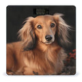 Long Haired DachshundScale for Body Weight with LCD High Precision Weighing Scales Fashion Sturdy Tempered Glass Weight Scales Easy-to-Read Digital Bathroom Scale for Daily 400lb