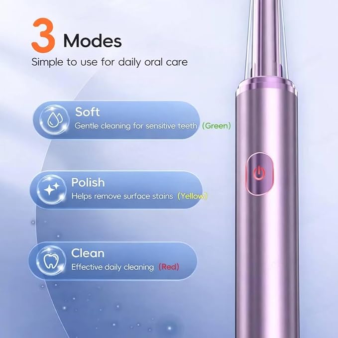 Electric Toothbrush for Adults Rechargeable Cordless Power Toothbrush with 3 Modes 4 Brush Heads 2-Min Timer Electric Tooth Brush Adult Purple or Silver (Silver)