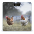 Chicken on The Grass Scale for Body Weight Sturdy Tempered Glass Weighing Scales with LCD Display Accurate Digital Bathroom Scale Convenient Body Fat Smart Scales 400lb