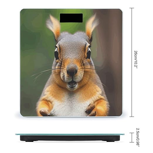 Squirrel Funny Animal Smart Scale for Body Weight Accurate Bathroom Scale with LED Display Digital Weight Scales Weighing Machine High Precision Scales for Bath Home