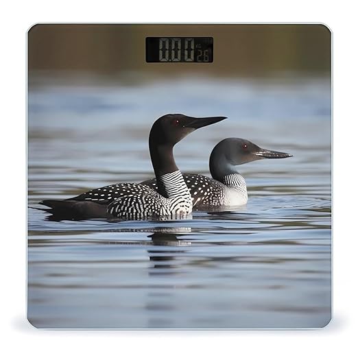 Digital Bathroom Scale for Body Weight Scale with Bright LCD Display High Accuracy Step-On Technology Auto On/Off Loon Birds Digital Scales 400 Lbs /180kg