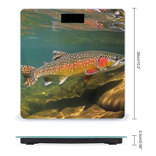 Brook Trout Fly Fishing Scale for Body Weight Sturdy Tempered Glass Weighing Scales with LCD Display Accurate Digital Bathroom Scale Convenient Body Fat Smart Scales Easy Read