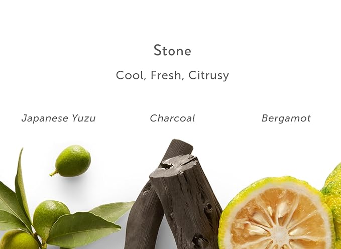 Harrys Gel-Body Wash/STONE: an invigorating scent of minerals &amp citrus - Japanese Yuzu Charcoal Bergamot - 16oz