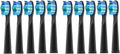 Replacement Electric Toothbrush Head Bristle Brush Refill Compatible with Fairywill FW-D1/FW-D3/FW-D7 Toothbrush Refills(10 PCS BK)