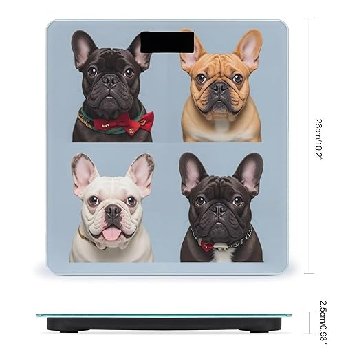 French Bulldog Scale for Body Weight Digital Bathroom Scale Toughened Glass High Precision Scales for Body Weight with Large LCD Backlight Display Weight Scales