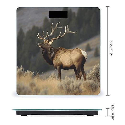 Bull Elk Scale for Body Weight Safe Rounded Corners Tempered Glass Digital Bathroom Scale LED Display 400lb Capacity Weight Scales with High Precision Sensors