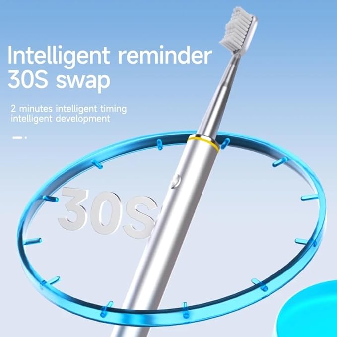 Electric Toothbrush for Adults Rechargeable Cordless Power Toothbrush with 3 Modes 4 Brush Heads 2-Min Timer Electric Tooth Brush Adult Purple or Silver (Silver)