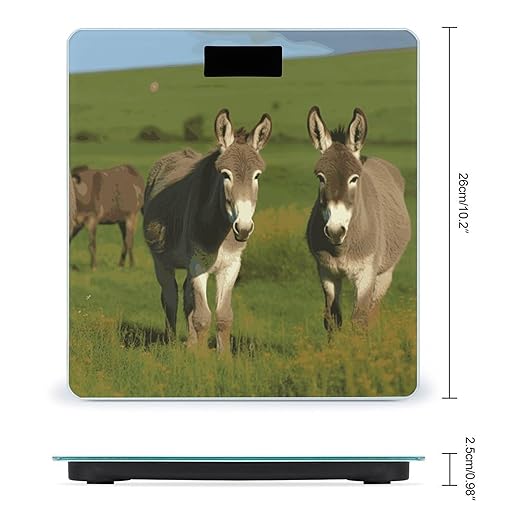 Donkey on Green Meadow Bathroom ScaleHighly Accurate Digital Weighing Machine for People Bright LED Display Weight Scale for The Aldult Home Use