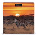 Africa Sunset Zebra Scale for Body Weight Digital Bathroom Scale Accurate Smart Weight Scales with Large Display Weighing Machine High Precision Scales