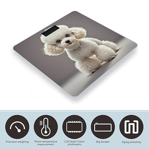 Poodle Scale for Body Weight Digital Bathroom Scale Toughened Glass High Precision Scales for Body Weight with Large LCD Backlight Display Weight Scales