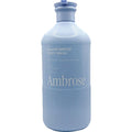 Ambrose Island Breeze Body Wash Coconut Vanilla Scent 33.8 fl oz
