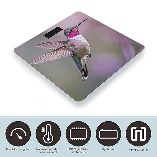Humming Birds Scale for Body Weight Digital Bathroom Scale Toughened Glass High Precision Scales for Body Weight with Large LCD Backlight Display Weight Scales