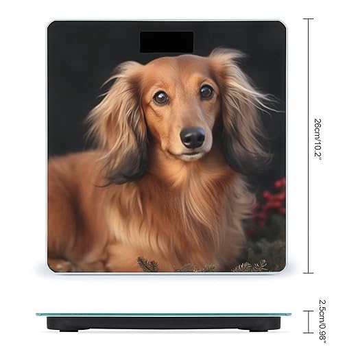 Digital Bathroom Scale for Body Weight Scale with Bright LCD Display High Accuracy Step-On Technology Auto On/Off Long Haired Dachshund Digital Scales 400 Lbs /180kg